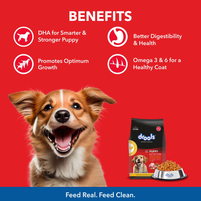 Drools Real Chicken and Egg kg Dry Young Dog Food Price in India