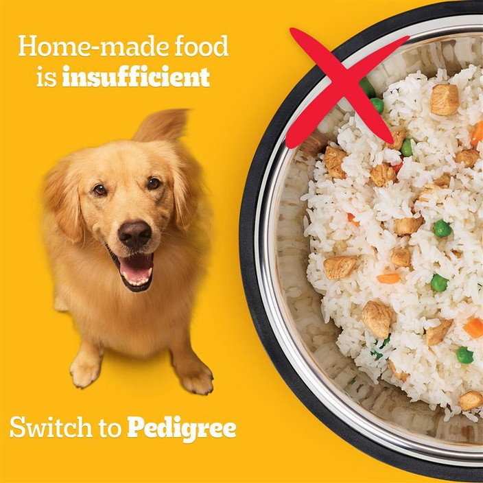 Pet Food Good Food For Golden Retriever Best Dog Foods For Golden
