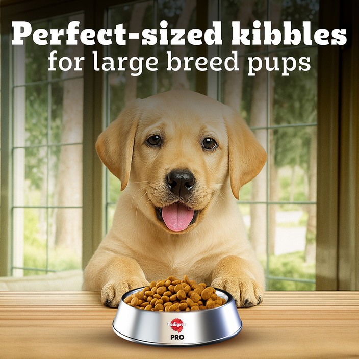 Lab Puppy Best Dog Food For Retrievers Three Best Dog Food For