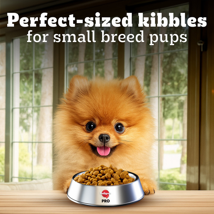 Pedigree What Is The Best Dry Dog Food For Small Breeds PEDIGREE