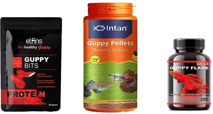 Guppy Diet for Growth And Color: Ultimate Guide to Vibrant Fish