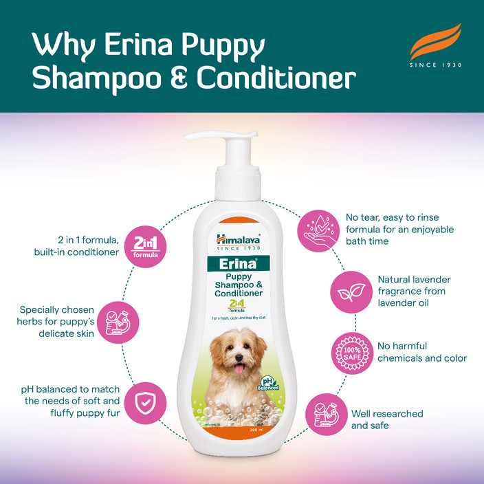 Human Nature Human Shampoo That Is Safe For Dogs Human Nature 4-in