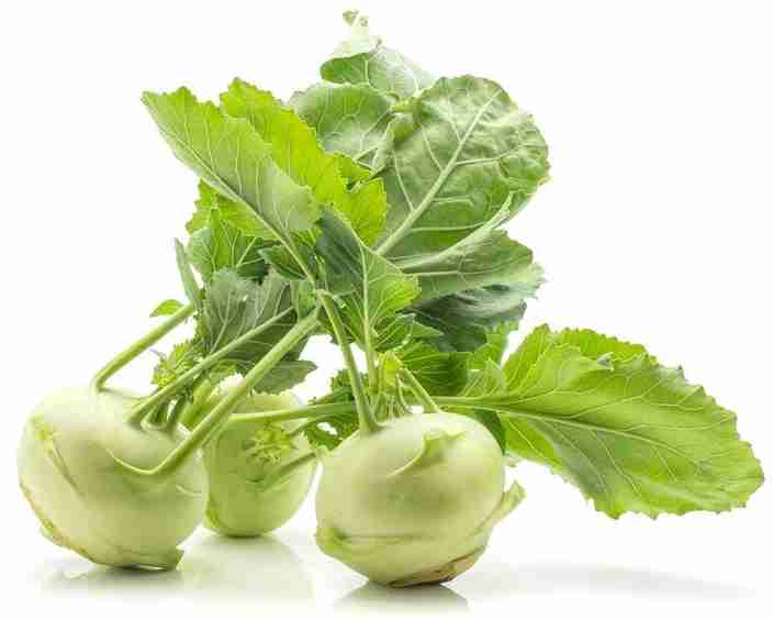 GATH GOBHI (NAVALGOLE)