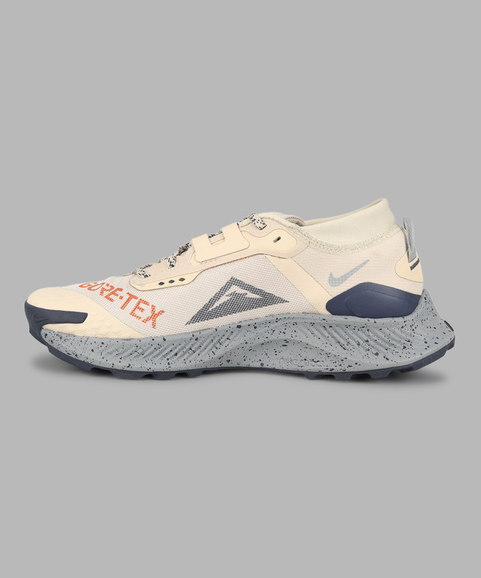 NIKE Pegasus Trail GORE-TEX Running Shoes For Men