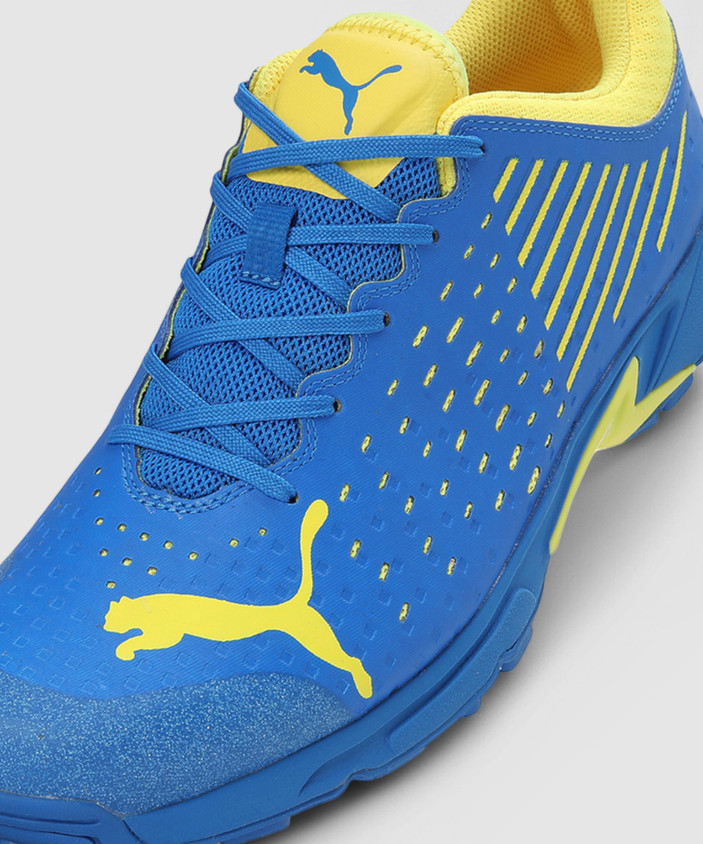Virat Kohli Ipl Running Shoes Ipl Shoes 219 PUMA Spike Cricket