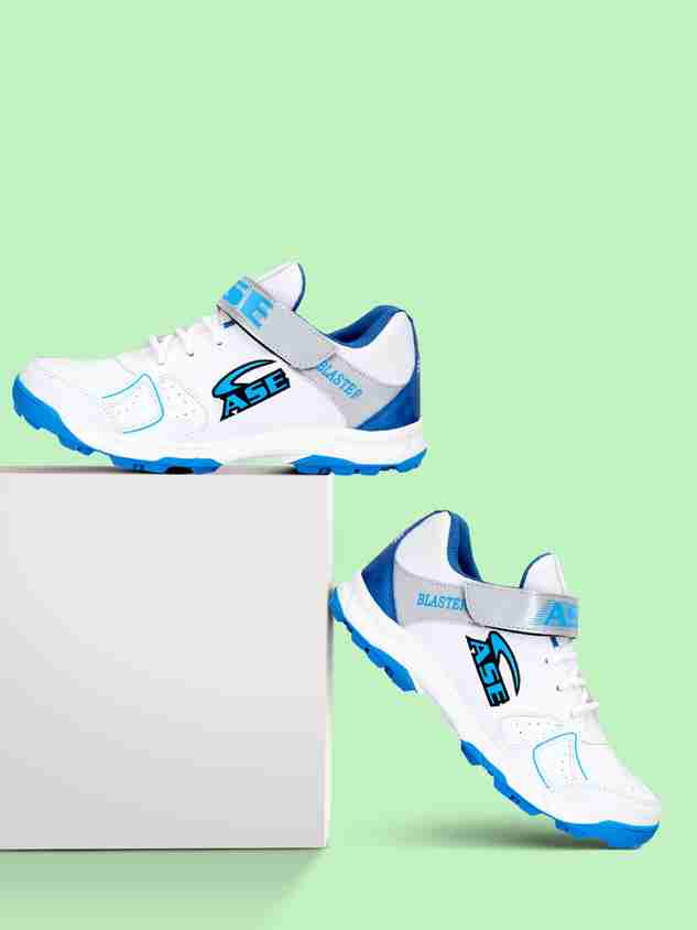 rop_175　ACEes 51hvxZuEpNL._AC_UY1000_.jpg