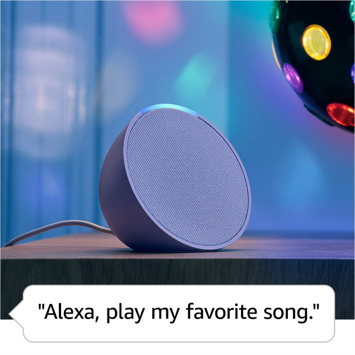 Bluetooth Device Play Music Through Alexa And Bluetooth Speaker
