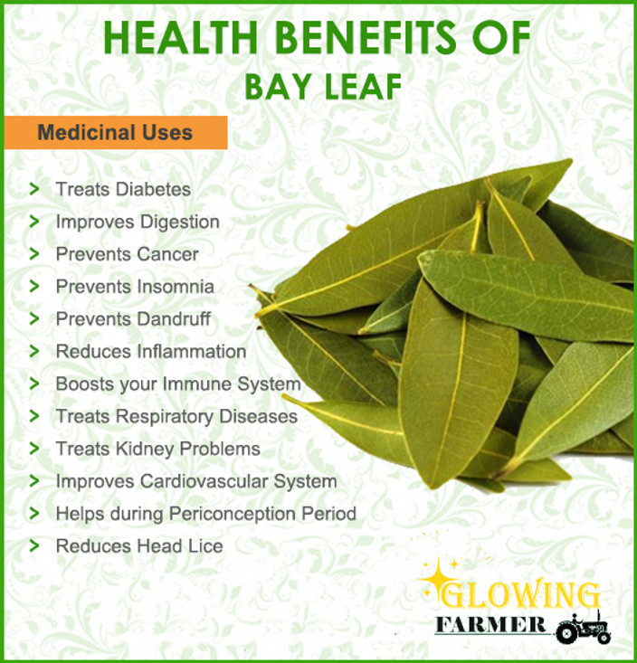 bay leaf benefits () bay leaf benefits