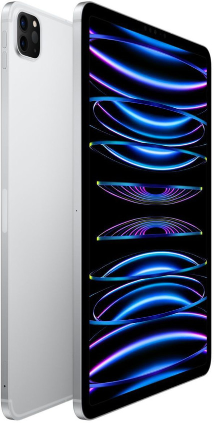 Apple 2022 iPad Pro (4th Gen) 256 GB ROM 11.0 inch with Wi