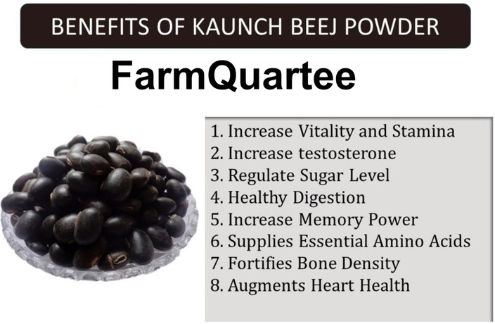 FarmQuartee Konch Kaunch Beej Powder Churna 100 grams MUCUNA PRURIENS Price  in India - Buy FarmQuartee Konch Kaunch Beej Powder Churna 100 grams MUCUNA  PRURIENS online at Flipkart.com