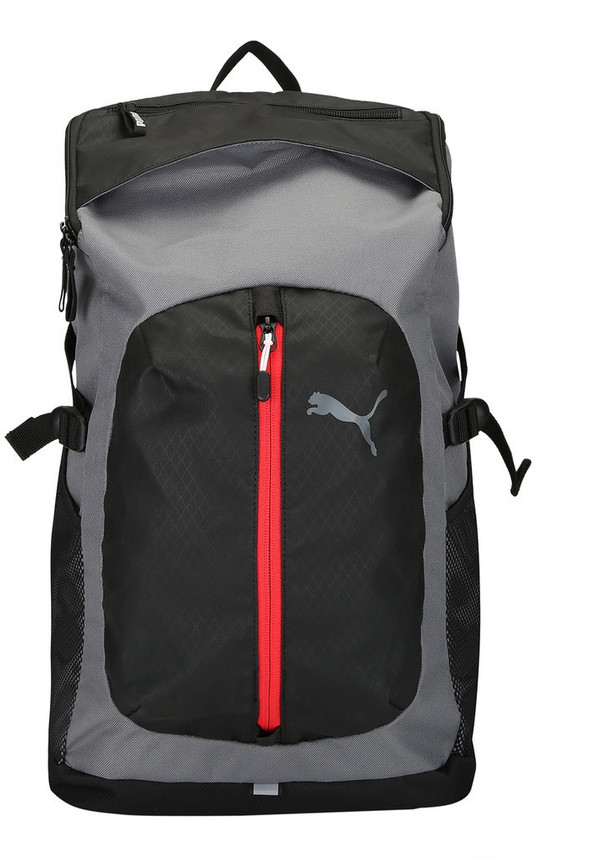 puma backpack flipkart