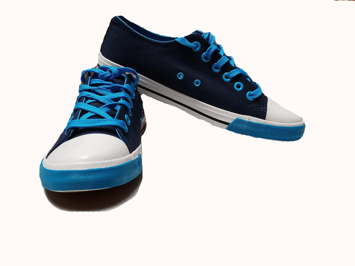 flipkart canvas shoes