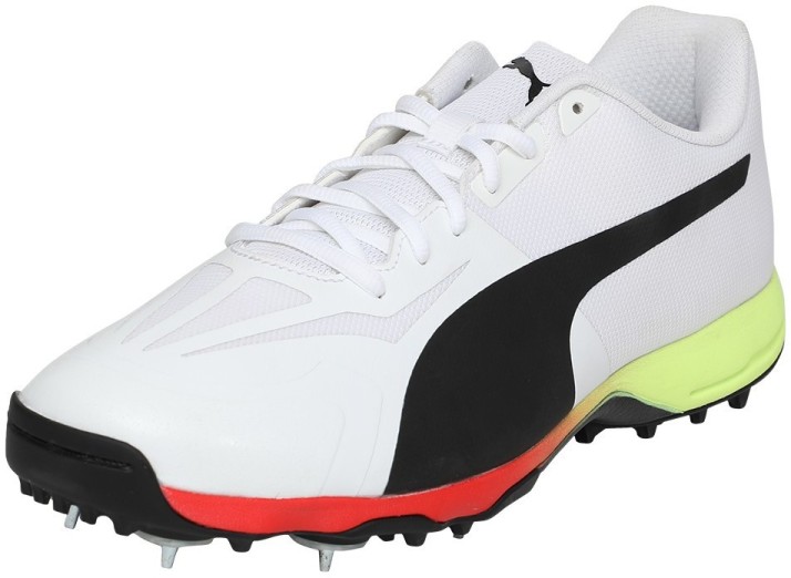 puma evo cricket shoes