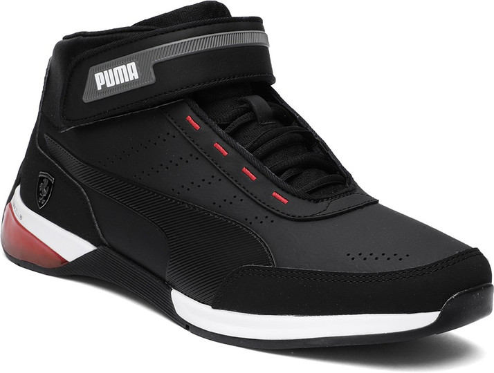 puma cat x