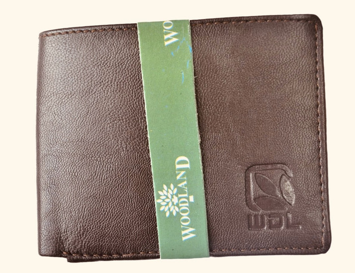 flipkart mens wallet woodland