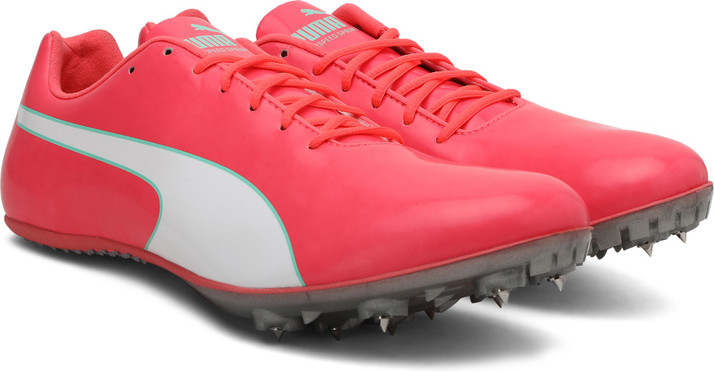 evospeed sprint 10
