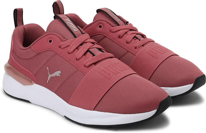 Puma Rose Plus Untamed Puma Rose Plus Welcome To Quality Engineering  Products