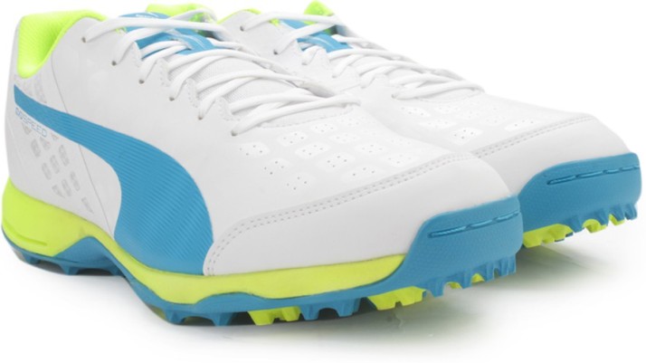 puma evo cricket shoes