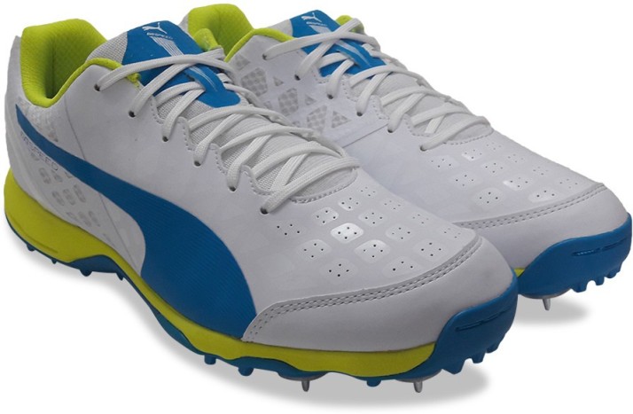 puma evo cricket shoes