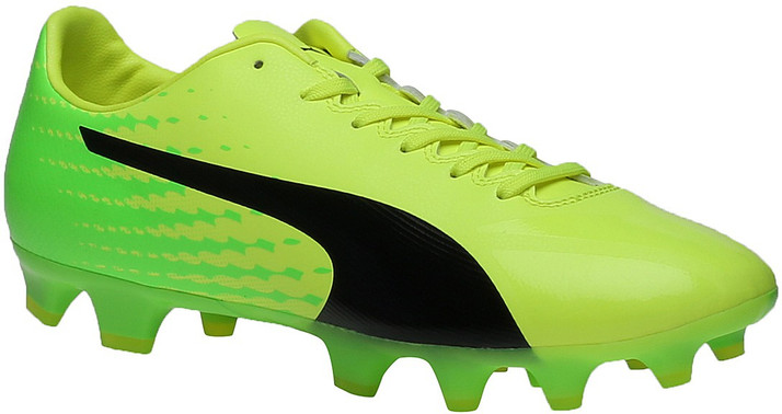 puma evospeed 17.2