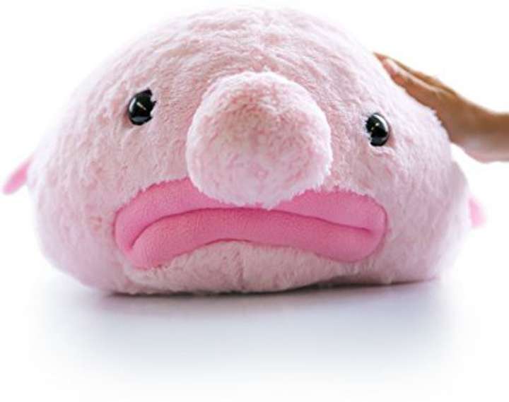 Blobfish pillow discount