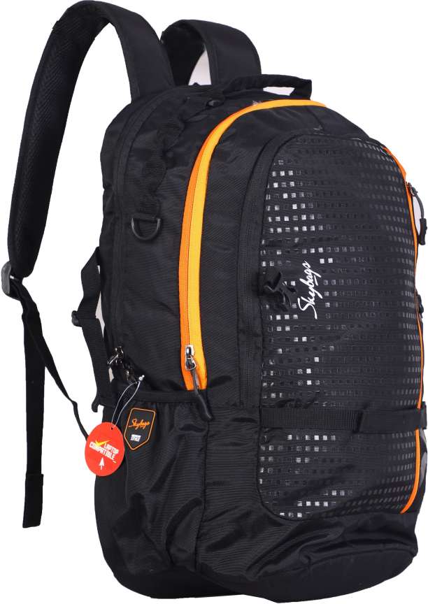 SKYBAGS Lazer Plus 02 Laptop Backpack Black 25 L Laptop Backpack Black Price in India Flipkart