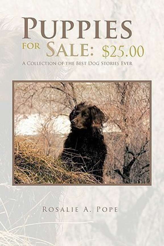 Dog for sale in flipkart outlet