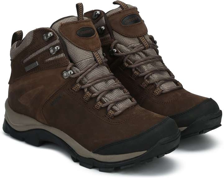 Wildcraft amphibia sphere top