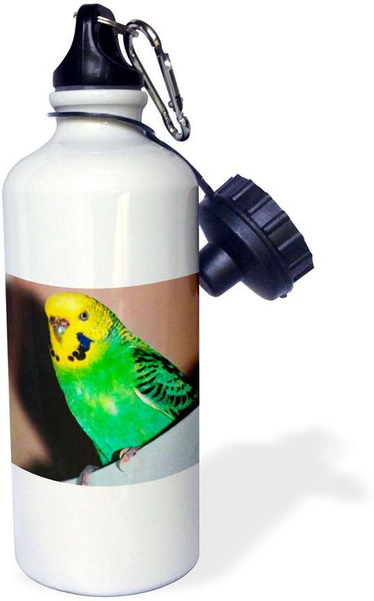 3dRose Budgie Parakeet Sports Water Bottle 600 ml Bottle Buy 3dRose Budgie Parakeet Sports Water Bottle 600 ml Bottle Online at Best Prices in India Sports Fitness Flipkart