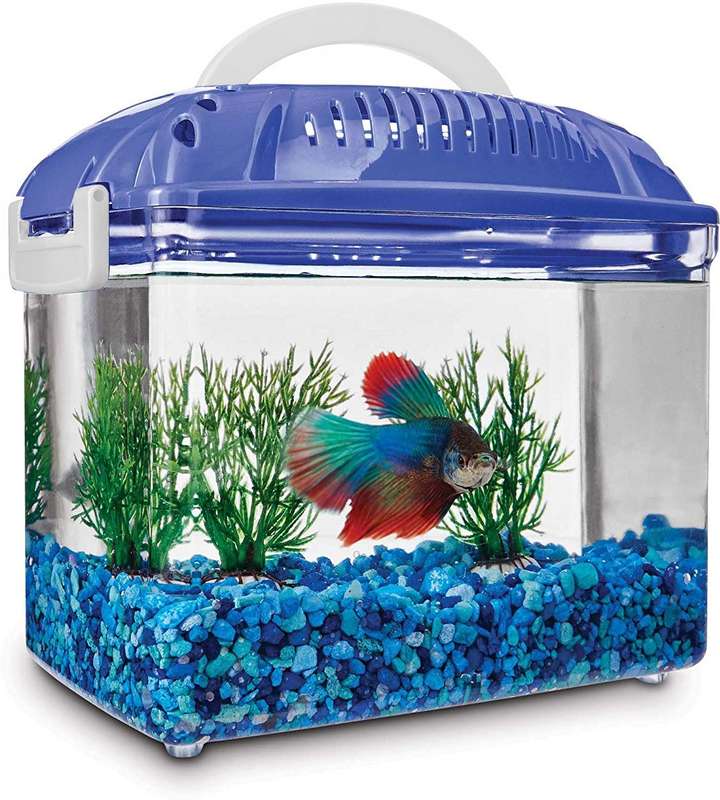 Venus Aqua Mini Aquarium Fish Habitat Tank Color Blue Small 5 Ltr Rectangle Aquarium Tank Price in India Buy Venus Aqua Mini Aquarium Fish Habitat Tank Color Blue Small 5 Ltr