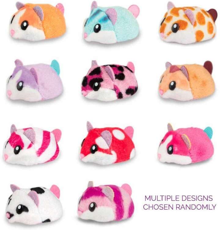 Zuru hamsters in a house cheap