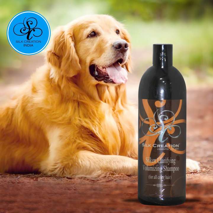 Silk creation dog shampoo discount