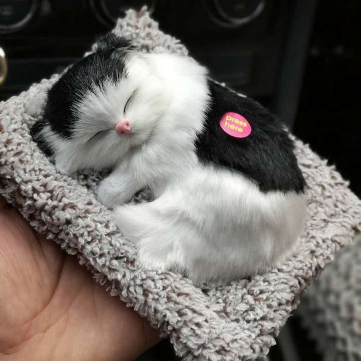 Stuffed cat that meows cheap