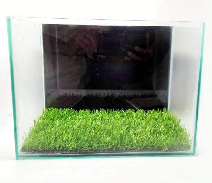 Aquarium grass mat hotsell