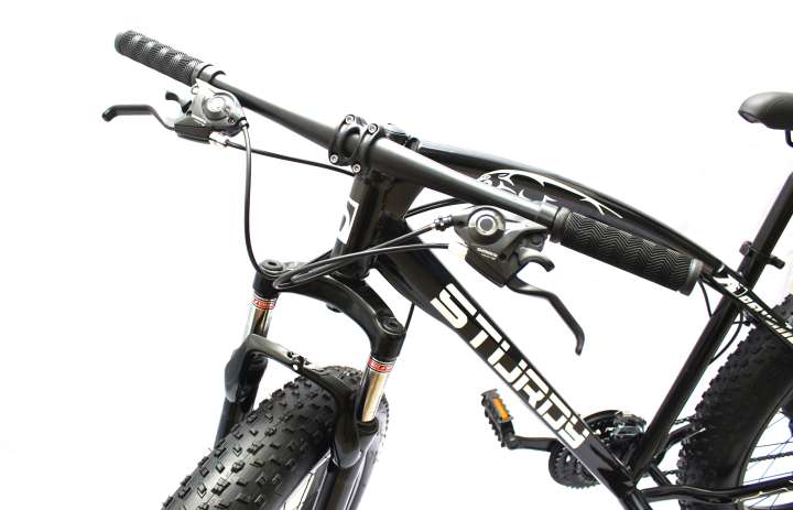 Sturdy bike fashion fat mountain bike