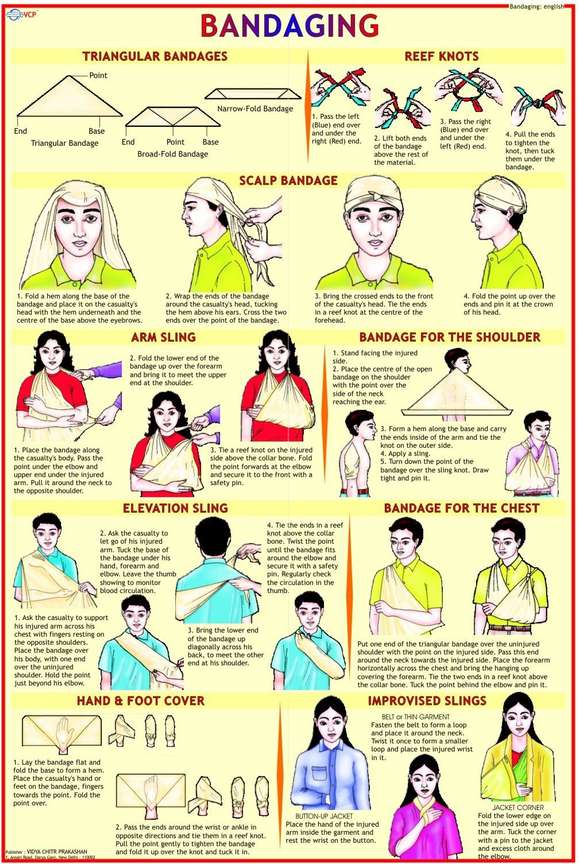 First Aid chart Bandaging Photographic Paper Educational posters in India Buy art film design movie music nature and educational paintings wallpapers at Flipkart