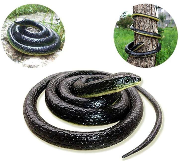 satlok RUBBER SNAKE REALISTIC FAKE SNAKE GAG TOY SNAKE TOY FOR KIDS MULTI COLOR snack Gag Toy Price in India Buy satlok RUBBER SNAKE REALISTIC FAKE SNAKE GAG TOY SNAKE TOY