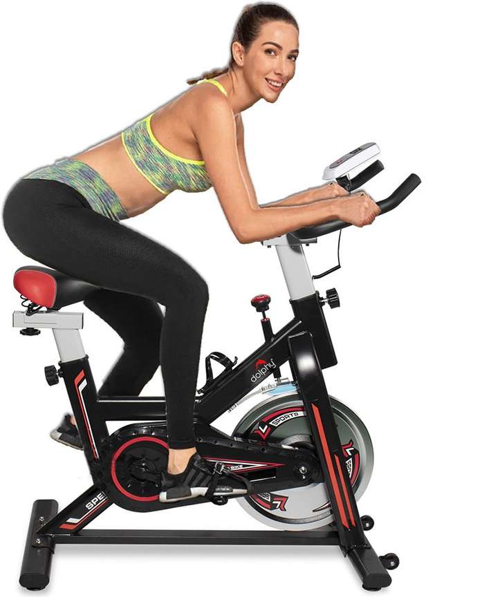 Dolphy spin bike best sale