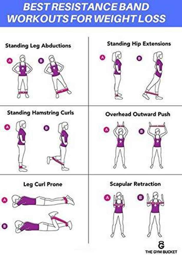 The Gym Bucket Adjustable Hip Resistance bands for Squats and Booty exercises Resistance Band Buy The Gym Bucket Adjustable Hip Resistance bands for Squats and Booty exercises Resistance Band Online a...
