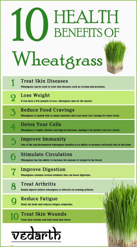 Benefits of organic wheat grass cheap