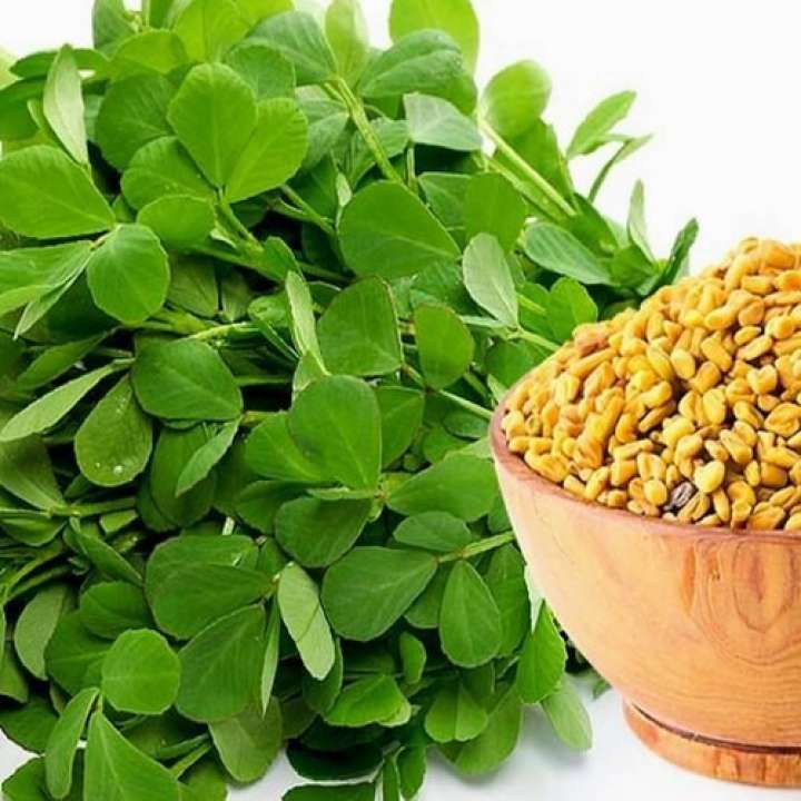 Paudha Methi/Fenugreek Seed Price in India - Buy Paudha Methi/Fenugreek  Seed online at Flipkart.com