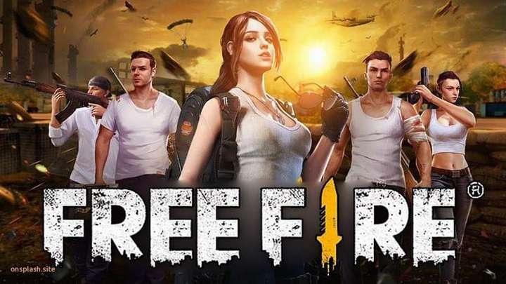 Free fire ps4 cd price discount