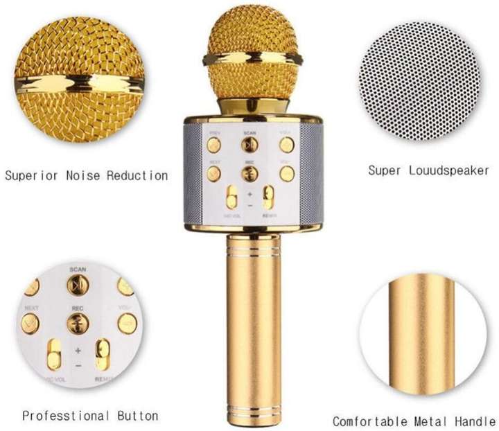 M2252-105-77】カラオケマシン ワイヤレス ゴールド 【公式通販】