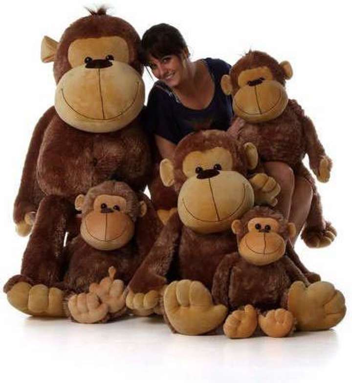 Giant teddy monkey best sale