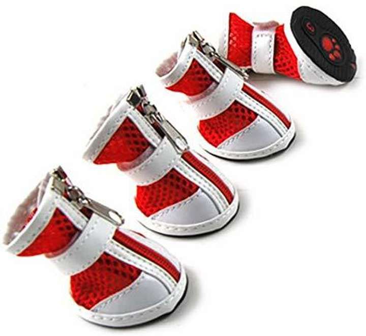 Dds shoe store online