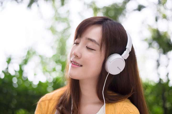 SONY MDR ZX110 WC in Wired without Mic