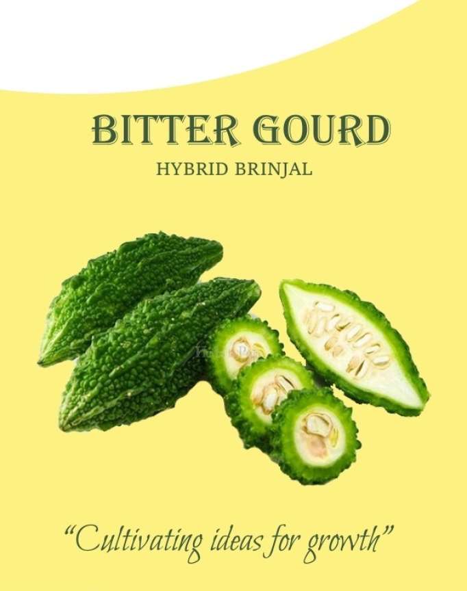 KAPTS GROUP karela Bitter Gourd Seed Price in India Buy KAPTS GROUP karela Bitter Gourd Seed online at Flipkart