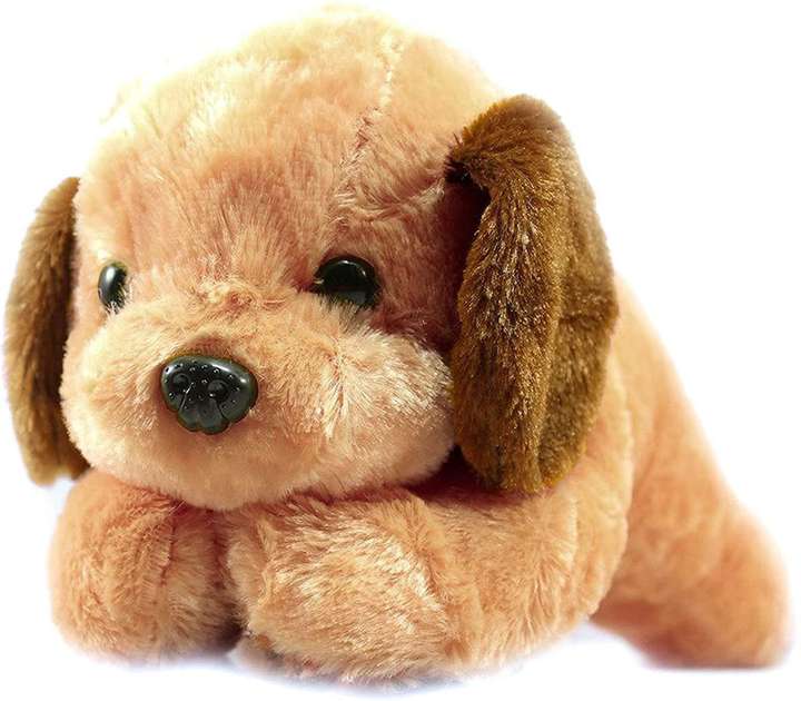 Toy Shop Brown Dog Stuffed Toys Cute Sitting Puppy Dog Doll Toy for Kid 28 cm Brown Dog Stuffed Toys Cute Sitting Puppy Dog Doll Toy for Kid shop for Toy Shop products in India. Flipkart
