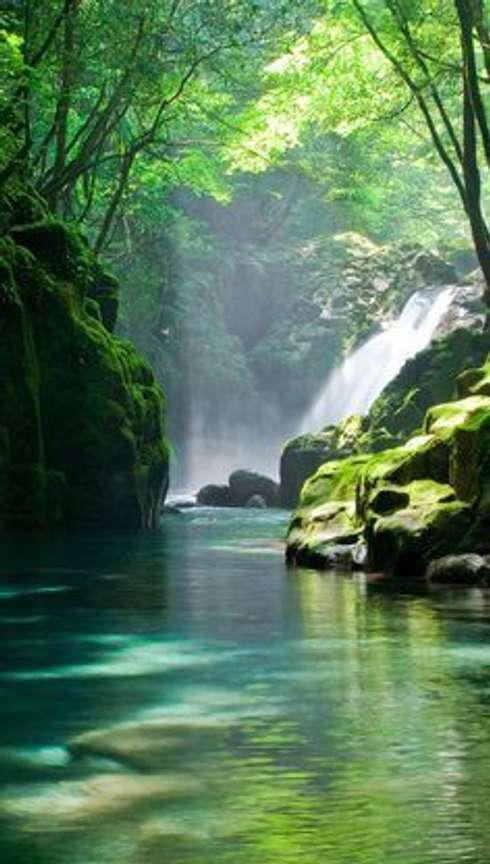 NATURE WALLPAPER BEAUTIFUL NATURE POSTER Paper Print Nature Decorative posters in India Buy art film design movie music nature and educational paintings wallpapers at Flipkart