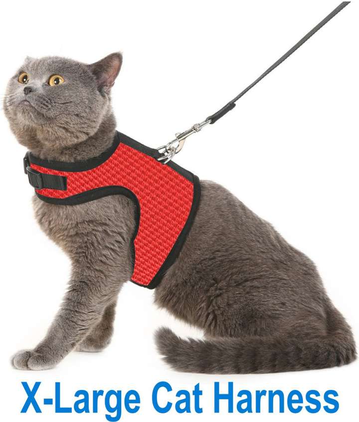 Extra large cat harness cheap